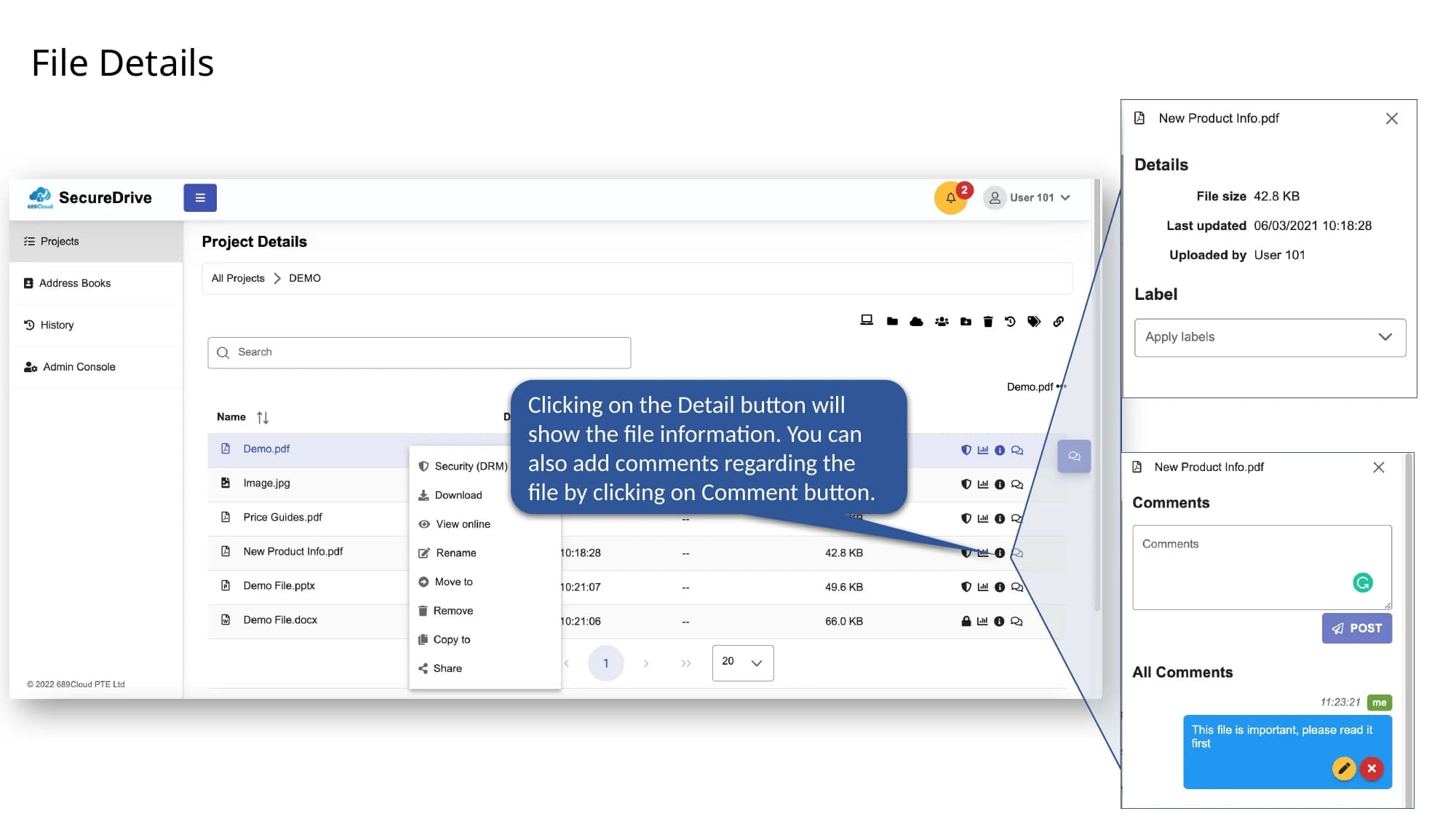 SecureDrive QuickStart slide showing file details and comments.